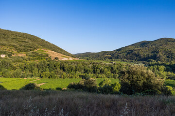 Naklejka premium Vue au coucher du soleil du vignoble Saint-Chinian près du hameau de Ceps à Roquebrun