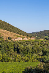 Vue au coucher du soleil du vignoble Saint-Chinian pr&egrave;s du hameau de Ceps &agrave; Roquebrun