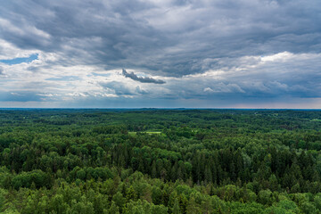 A view of the treetops and the horizon before the storm.