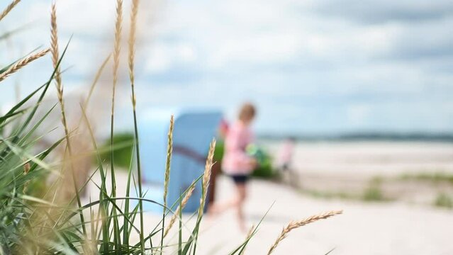 4K slow motion video of dunes grass, beach chair and playing children on background on beautiful bach