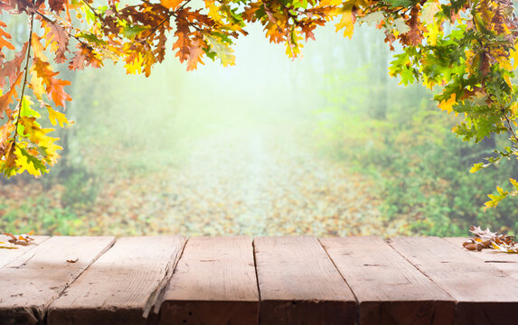 Desk table and autumn background free space for your product display. Empty wooden table with autumn for a catering or food background, Template for product display