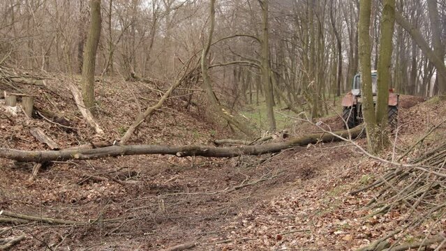 Wood is necessary for country, but harm to ecology and problems to tourism. Skidding timber, tractor is skidding cut trees out of the forest.