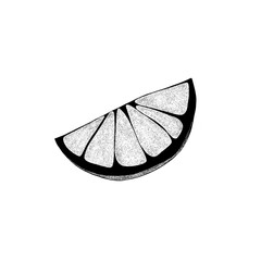 Hand drawn a slice of lemon. Citrus organic slice illustration on white background. For your web design.