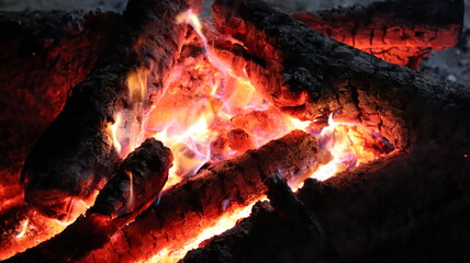 Glowing ember. Vivid and strong colors of red-hot wood. Fire, bonfire, burning.