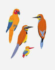 Vector set of cute colorful birds on white background. Tropical birds