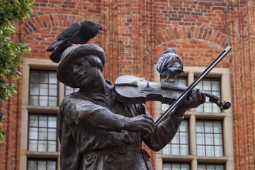 pigeons sitting on a figure of a rafter playing the violin decorating the fountain in Toruń.