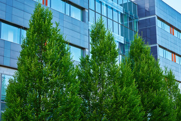 Plakat Glass facade of buiding with green trees, Modern office building in city for business corporation, Residential contemporary