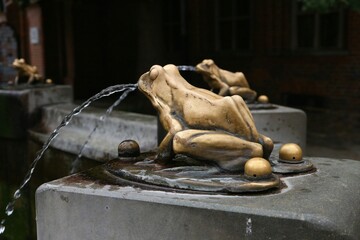 A figurine of a frog from which water gushes. Element of the rafter's fountain in the Old Town Square in Toruń, Poland.
