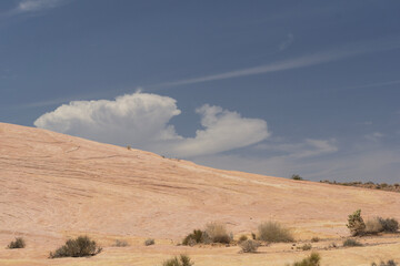Naklejka premium state desert landscape