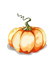 Juicy orange autumn pumpkin with a green stem.