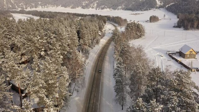 Aerial view of winter road among pine-tree forest. Nature of Altai Republic