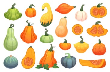 Autumn squashes crop. Farm organic veggies, cartoon pumpkin composition gourd plant fresh healthy food, fall fair vegetable garden