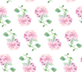Hydrangea pink flower painted in watercolor on white paper pattern
