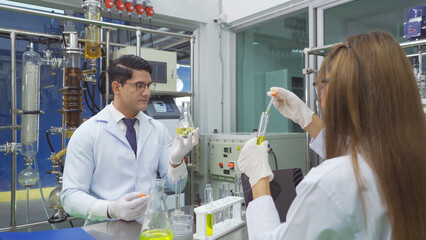 A scientist team working in marijuana or cannabis farm lab to analysis and develop product in...