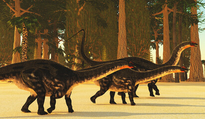 Apatosaurus Prehistoric Forest - A prehistoric forest during the Jurassic Age of North America dwarfs huge Apatosaurus sauropod dinosaurs. © Catmando