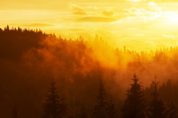 Obraz na płótnie Canvas foggy evening landscape in Carpathian Mountains, Ukraine.