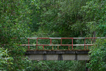 a bridge in the forest