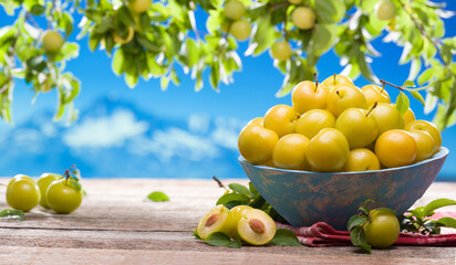 Yellow fresh cherry plum on the garden table. A bowl of yellow plums