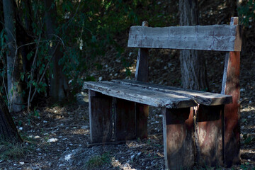 an old wooden bench immersed in a green and peaceful landscape