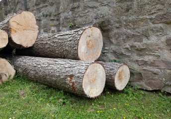 Brennholz