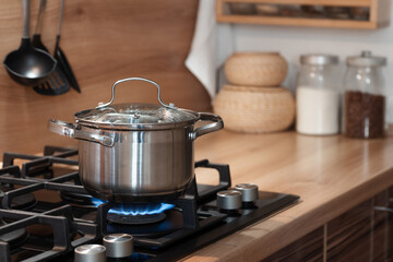 cooking in a stainless steel pot on a gas stove, a pot on a gas burner