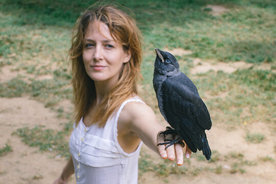 jackdaw bird held by a woman