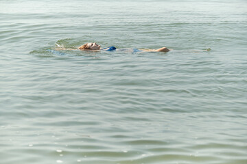 Fototapeta premium nude woman swim