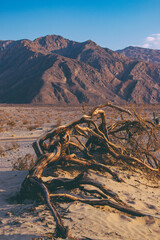 A world of extremes, Death Valley is the nation's driest, hottest and lowest place