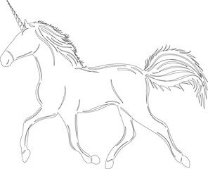 unicorn sketch on white background outline isolated, vector