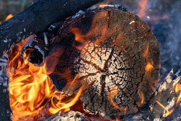 Burning firewood, burnt stump on fire, beautiful burnt wood pattern, wood texture, rings