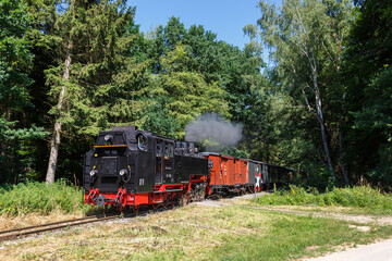 Öchsle steam train locomotive railway near Maselheim in Germany