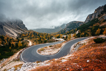 Winding mountains road leading to Three peaks of Lavaredo in Tre Cime di Lavaredo National Park in Dolomite Alps. Orange grass and lush larches forest around. Autumn in Dolomites, Italy