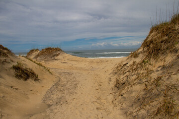 Fototapeta na wymiar Sand Dune and the Atlantic Ocean in the Outer Banks, North Carolina