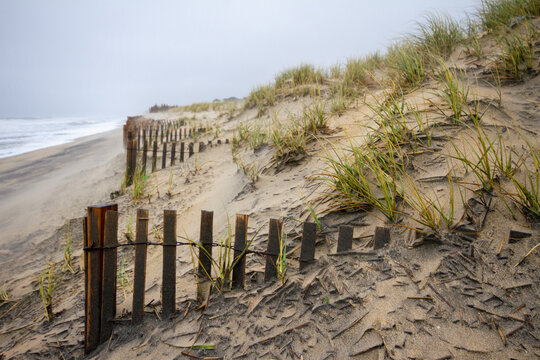 sand dunes and fence on Nags Head Beach in the Outer Banks, North Carolina