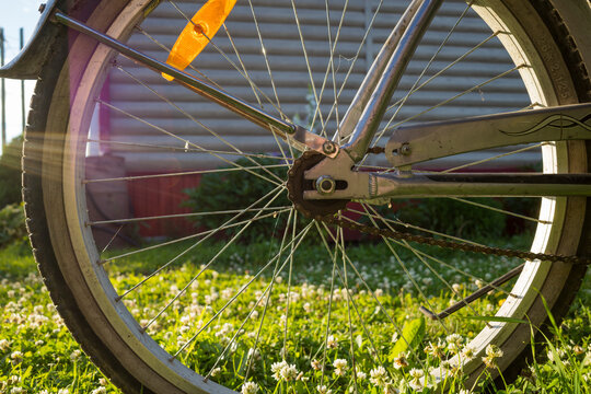 the rear wheel of a bicycle standing on the grass, the background of the evening setting sun