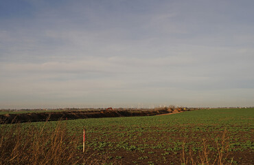 Preparatory work of archaeologists before the construction of the freeway A143