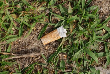 one white dirty cigarette butt with a brown filter lies on gray earth in green grass on the street