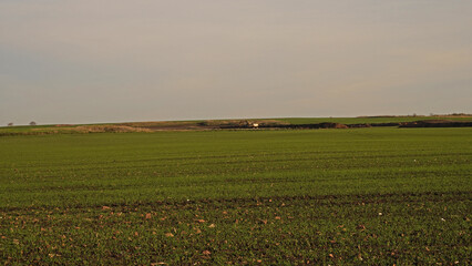Preparatory work of archaeologists before the construction of the freeway A143