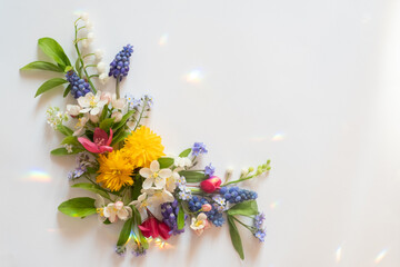 Corner flower flat lay from different wildflowers on a white background. Beautiful light reflections. Top view