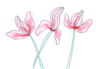 Watercolor flowers, floral art decoration, sketch. Illustration hand drawn modern