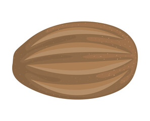 wholemeal bread icon