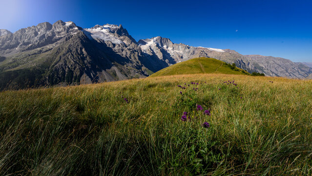 Vue Sur La Meije 