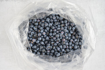 Large bag full of fresh picked organic blueberries, big harvest of tasty and nutritious fruit
