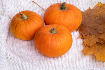 Small pumpkin and yellow maple leaves on white knitted background. Autumn concept. Selective focus. Shallow depth of field. Top View.