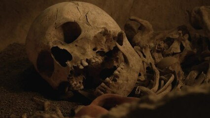 Old human bone on ground. Murder or victim concept. History and paleontology. Skull with jaw in dark, archaeology