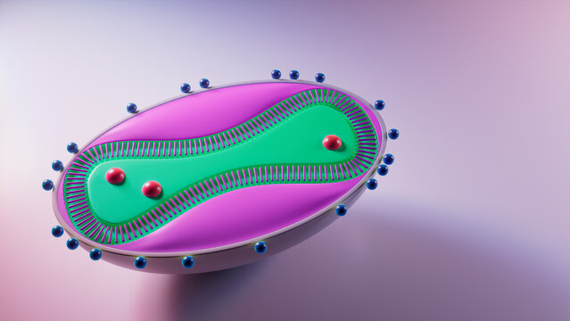 3D Illustration showing the Cell Structure of the Monkeypox Virus. 3D Render with Copy-Space.
