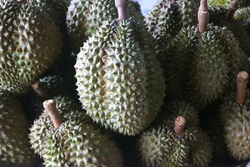 durian fruit on market tray