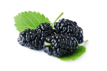Many fresh ripe black mulberries with leaves on white background