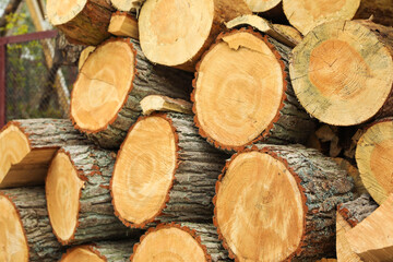 Stacked firewood outdoors, closeup. Heating in winter