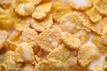 Tasty cornflakes with milk as background, closeup